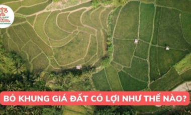 Việc bỏ khung giá đất sẽ có lợi cho người dân như thế nào? Khi nào Nhà nước sẽ bỏ khung giá đất? Hoàng Thịnh Luật