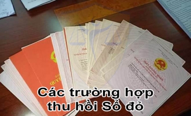 4 trường hợp thu hồi sổ đỏ theo Luật Đất đai năm 2013 Hoàng Thịnh Luật