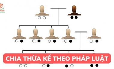 Chia thừa kế theo pháp luật được quy định như thế nào? Hoàng Thịnh Luật