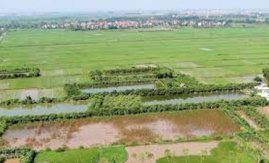 Bảng giá đất nông nghiệp 63 tỉnh thành mới nhất năm 2023 Hoàng Thịnh Luật