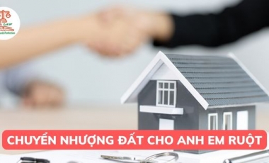 Anh em ruột chuyển nhượng đất cho nhau thì có phải đóng thuế hay không? Hoàng Thịnh Luật