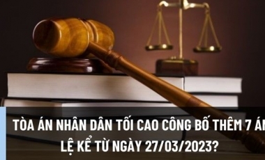 TAND tối cao công bố 07 án lệ mới áp dụng từ ngày 27/3/2023 Hoàng Thịnh Luật