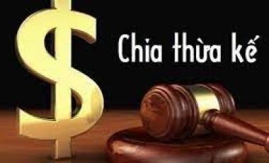 Người thừa kế không phụ thuộc vào nội dung di chúc Hoàng Thịnh Luật