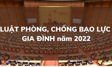 Luật Phòng, chống bạo lực gia đình năm 2022 Hoàng Thịnh Luật